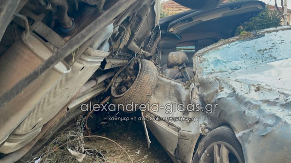 Φωτογραφία: alexandreia-gidas.gr