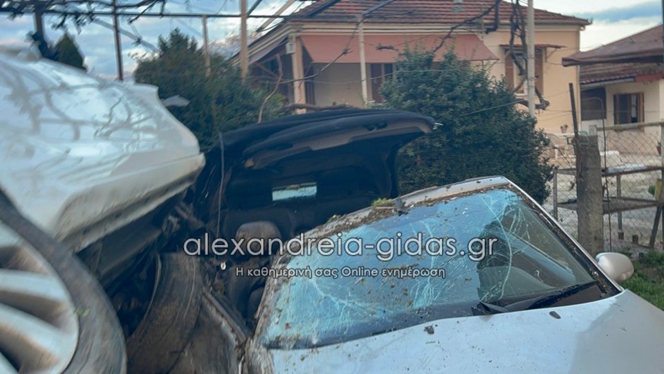 Φωτογραφία: alexandreia-gidas.gr