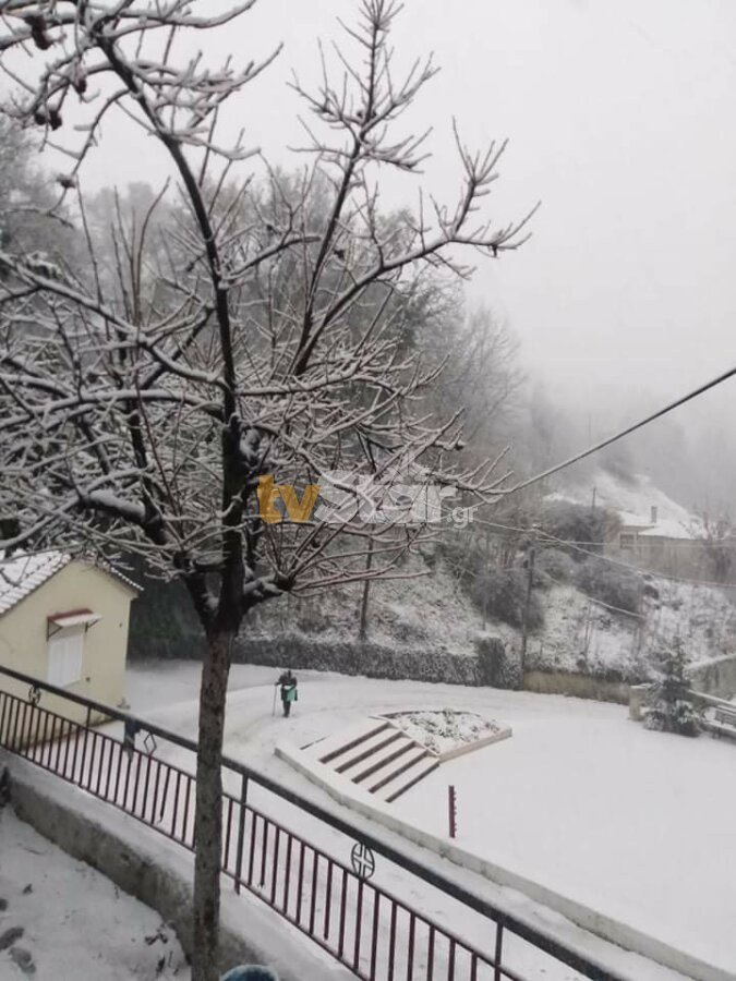 Ισχυρή χιονόπτωση στην Κοκκινομηλία της Βόρειας Εύβοιας