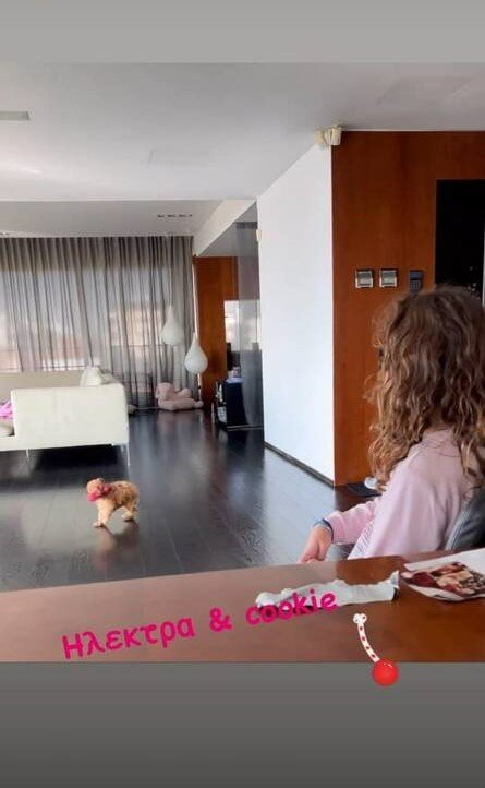 σαλόνι Γιώργου Λύρα και Πέγκυς Ζήνα