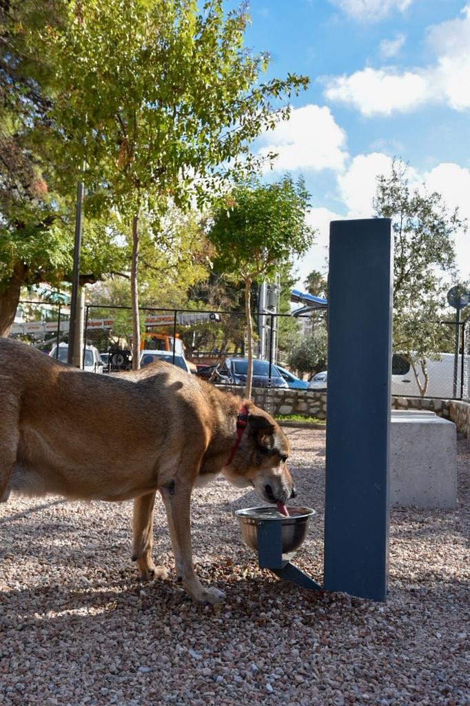 Πάρκο για σκύλους