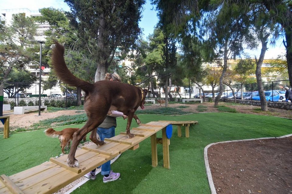 Πάρκο για σκύλους