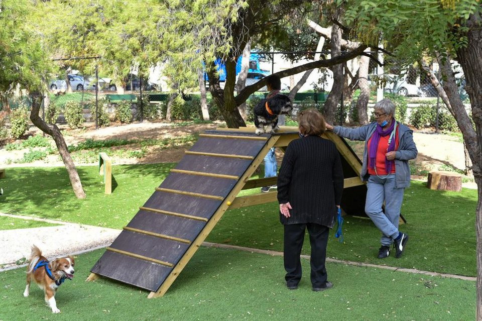 Πάρκο για σκύλους