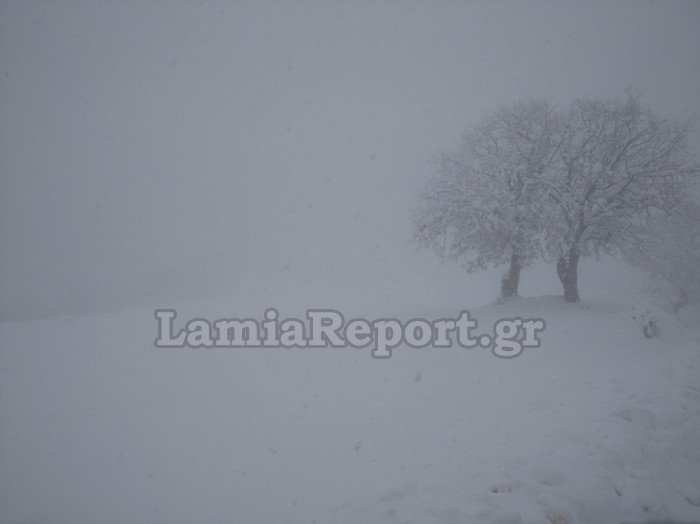 Ομίχλη και χιόνι/ Φωτογραφία: LamiaReport