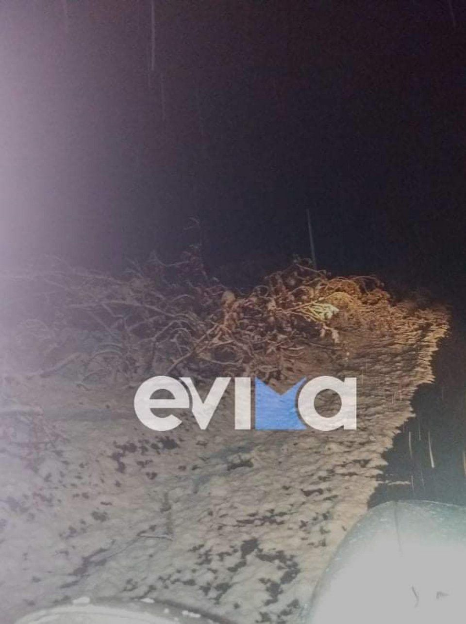 Photo: evima.gr