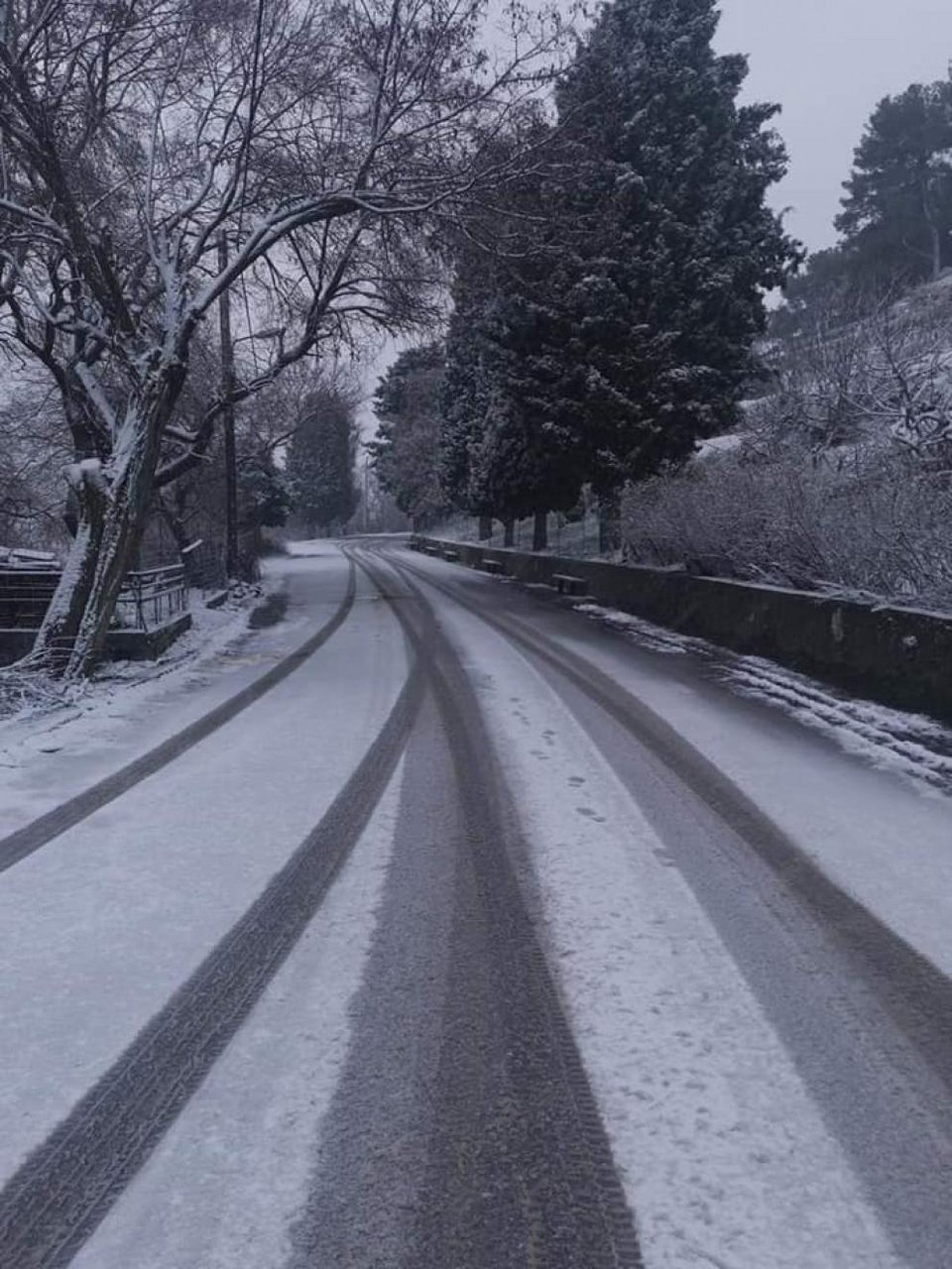 Φωτογραφία: lesvosnews