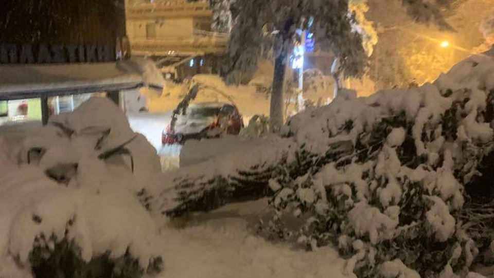 Πεσμένο δέντρο σε κεντρικό δρόμο της Αγίας Παρασκευής