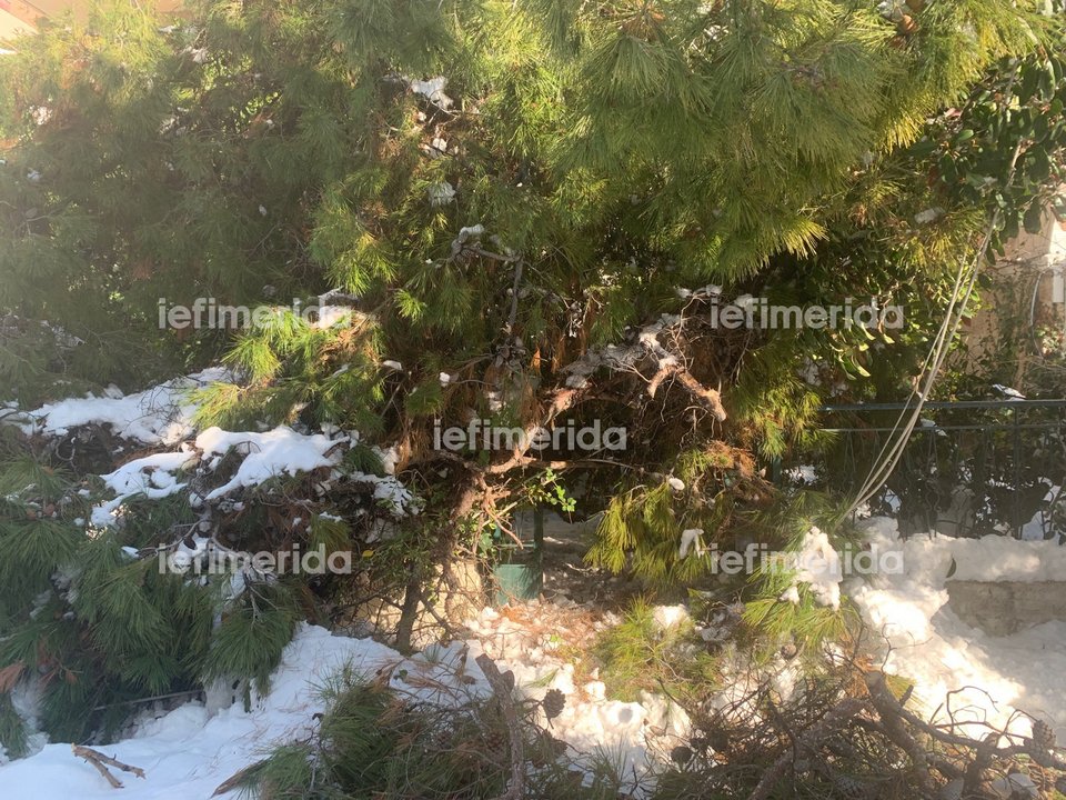 Οι κάτοικοι δεν μπορούν να περάσουν, καθώς στο σημείο έχουν πέσει καλώδια της ΔΕΗ