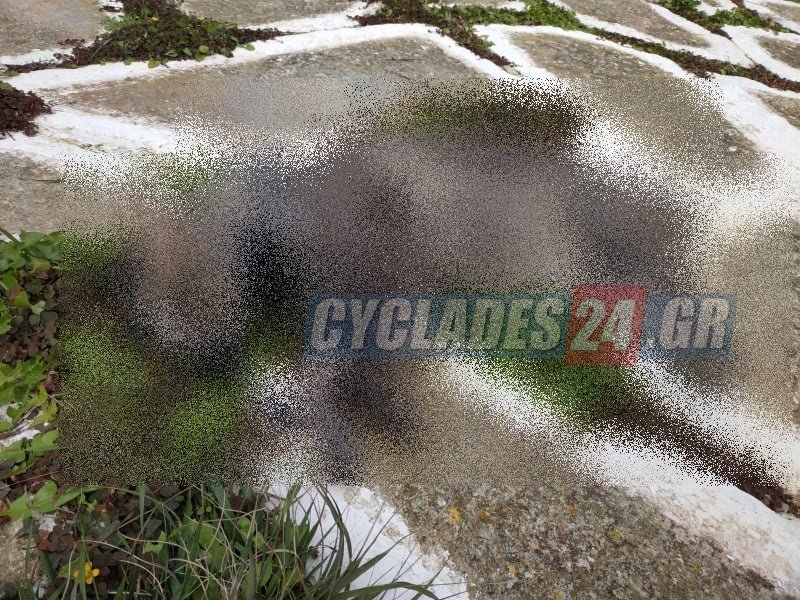 Photo: Cyclades24.gr