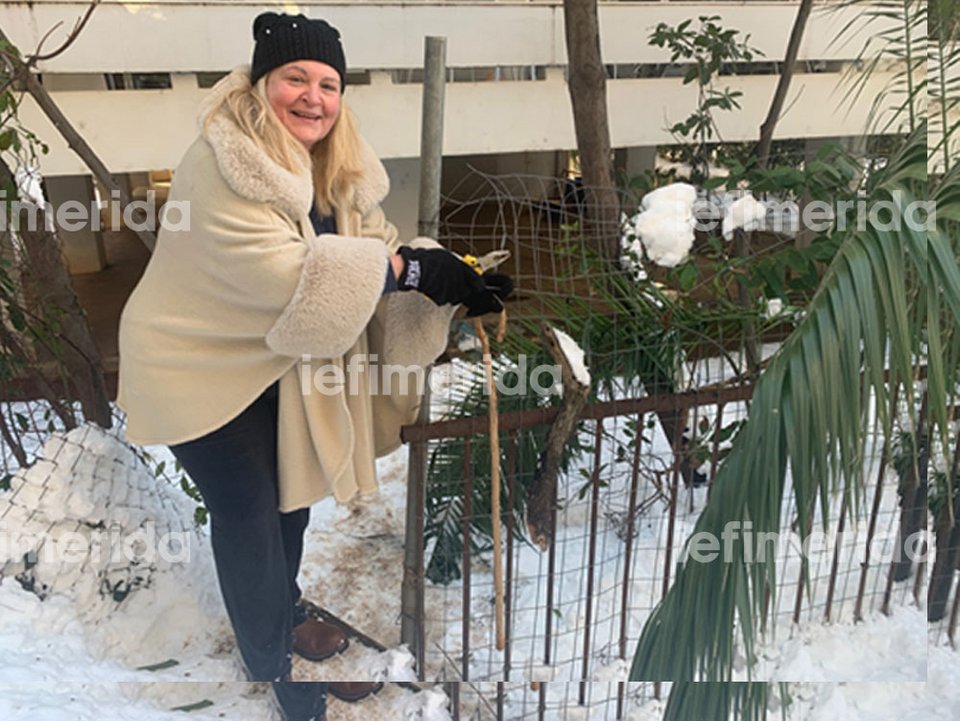 Η Σίσσυ Νίκα με τον αδελφό της, Στέλιο, βρήκαν τη λύση, κόβοντας τα συρματοπλέγματα του φράχτη του γείτονα. Ωστόσο, στην πολυκατοικία κατοικούν και ηλικιωμένοι.