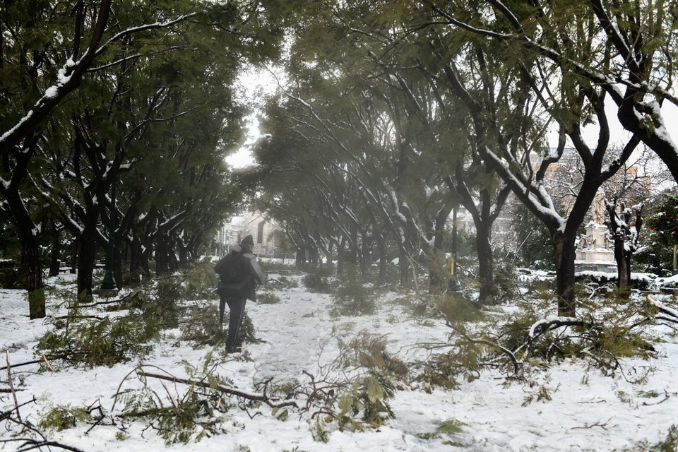 Φωτογραφία: ΤΑΤΙΑΝΑ ΜΠΟΛΑΡΗ-EUROKINISSI