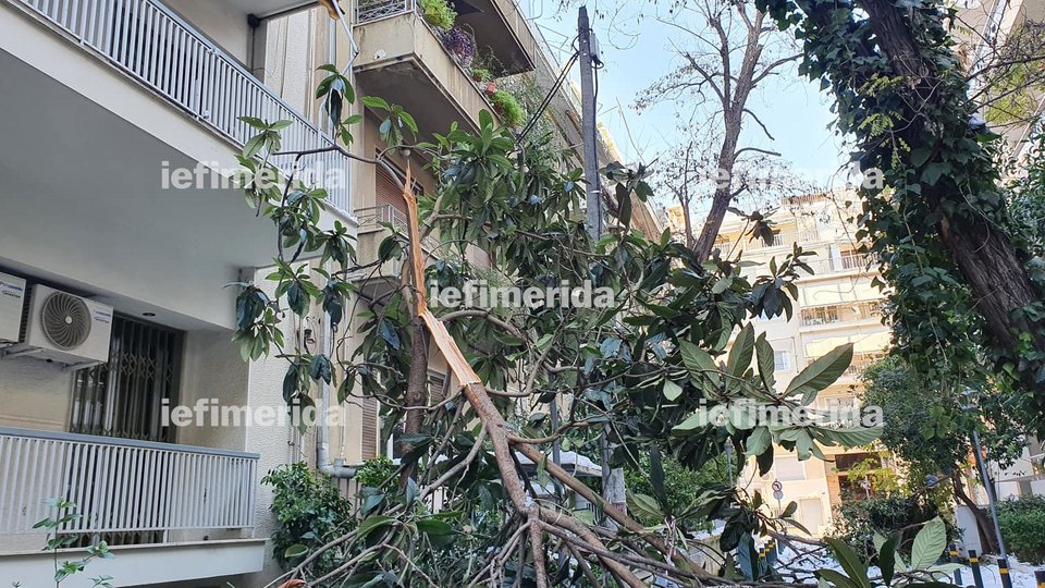 πεσμένα δέντρα Αθήνα