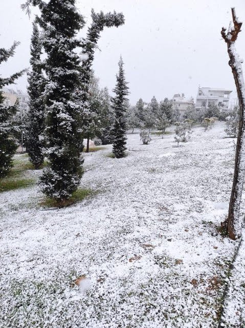 Κακοκαρία Ελπίς, χιόνια στον Αλιμο