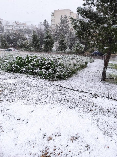 Κακοκαρία Ελπίς, χιόνια στον Αλιμο