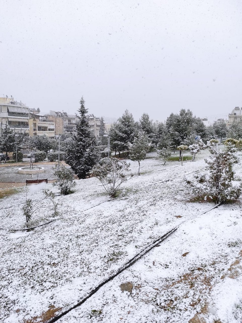 Κακοκαρία Ελπίς, χιόνια στον Αλιμο