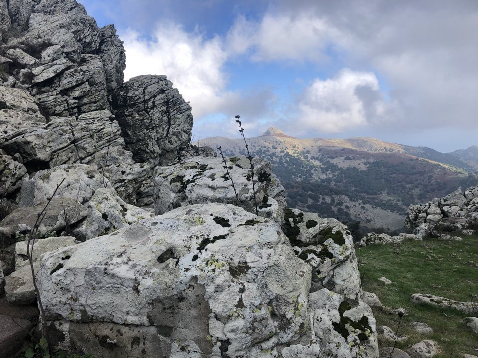 Φωτογραφία: Μουσείο απολιθωμένου Δάσους Σιγρίου Λέσβου