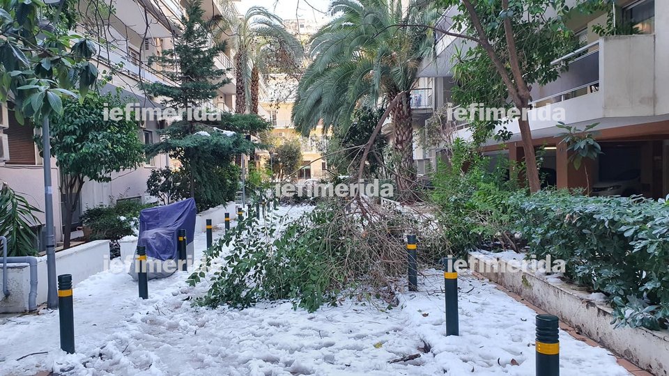 πεσμένα δέντρα Αθήνα