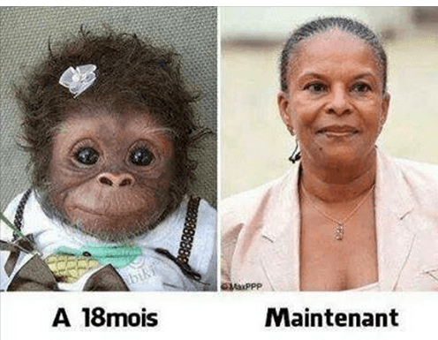 To φωτομοντάζ που ανέβασε στο Facebook η υποψήφια της ακροδεξιάς. «Σε ηλικία 18 μηνών», έγραψε κάτω από έναν πίθηκο, «Τώρα», έγραψε κάτω από τη φωτογραφία της Κριστιάν Τομπιρά. Καταδικάστηκε σε 9μηνη φυλάκιση