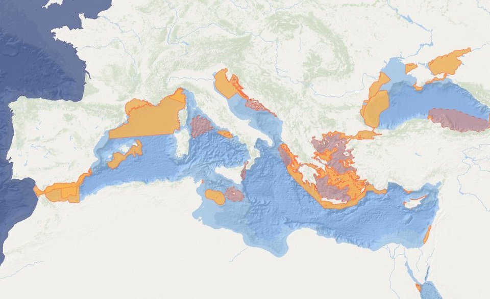 Η ελληνική τάφος είναι από τις πλουσιότερες σε θαλάσσια θηλαστικά περιοχές της Μεσογείου