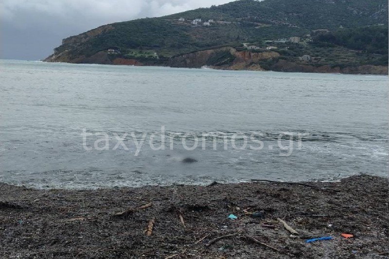 Σκόπελος, σορός στη θάλασσα