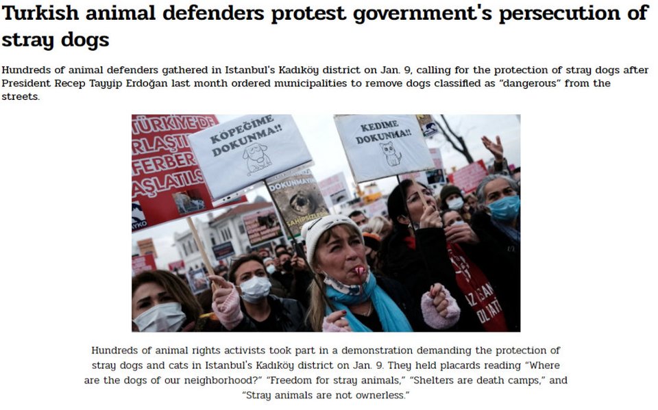 Οι διαδηλωτές στην Κωνσταντινούπολη φώναζαν συνθήματα όπως «Πού είναι τα σκυλιά της γειτονιάς μας», «τα καταφύγια είναι στρατόπεδα θανάτου», «λευτεριά στα αδέσποτα» και «τα αδέσποτα δεν είναι χωρίς ιδιοκτήτη».