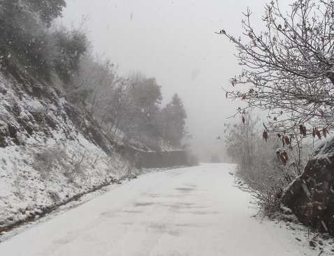χιόνι στα Τρίκαλα