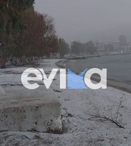 χιονια