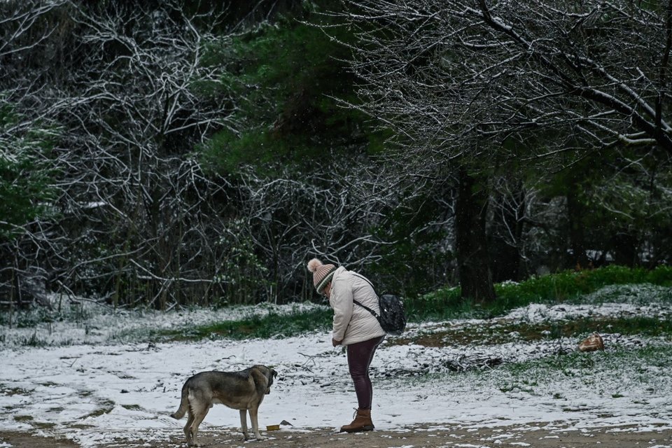 Φωτογραφία: ΜΙΧΑΛΗΣ ΚΑΡΑΓΙΑΝΝΗΣ / EUROKINISSI