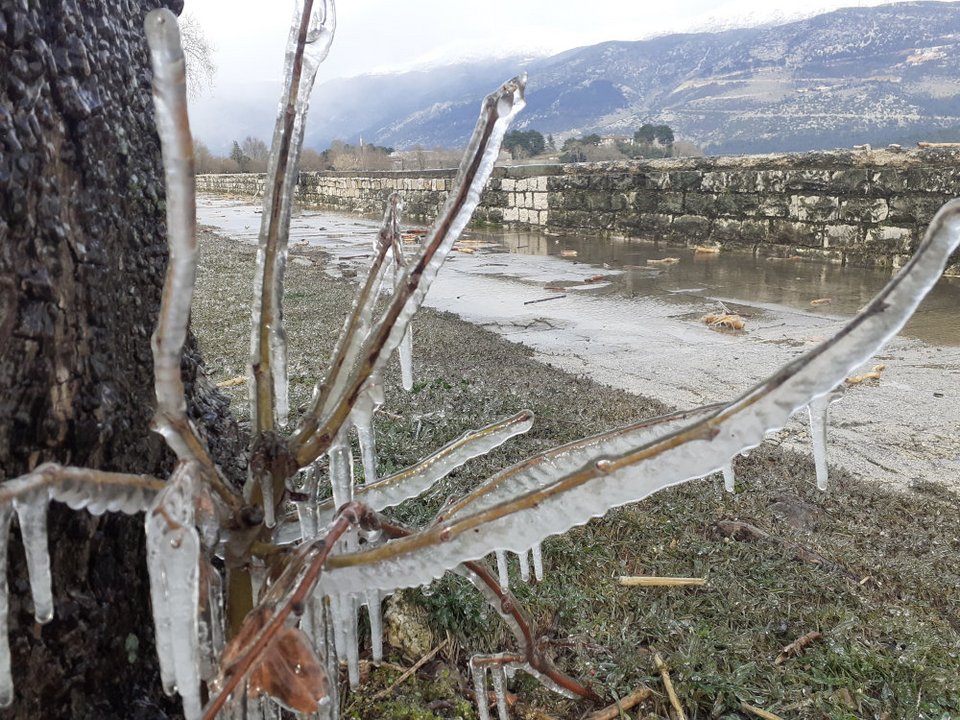 Κρύσταλλο έγινε το νερό στα δέντρα
