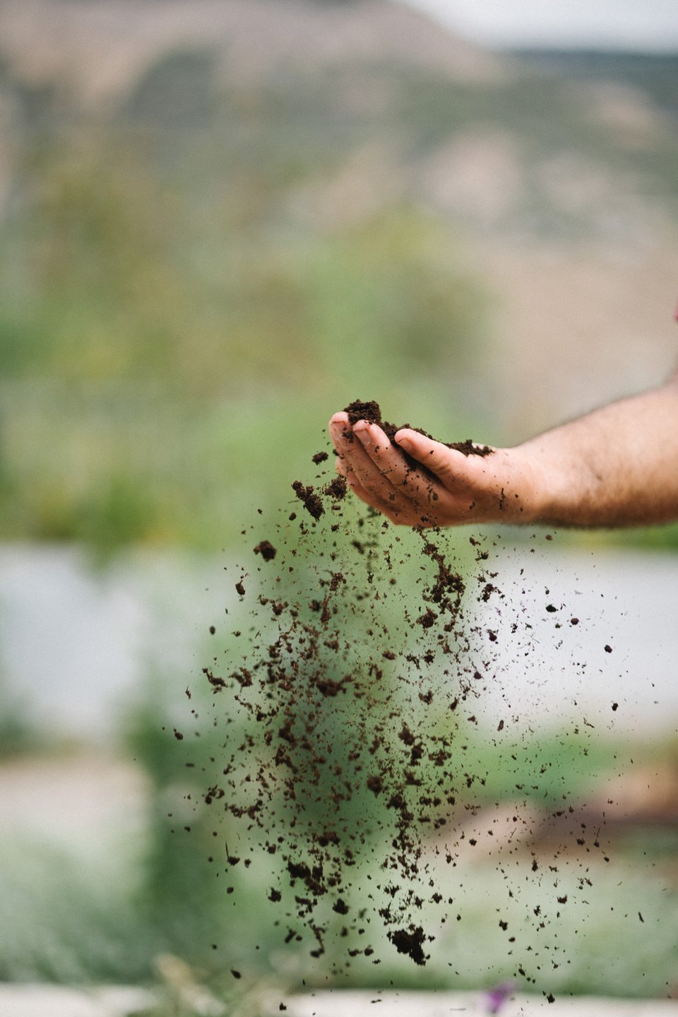 Στην earthy gastronomy η γη ορίζει τους κανόνες  - Φωτογραφία: Yiamouris Studio