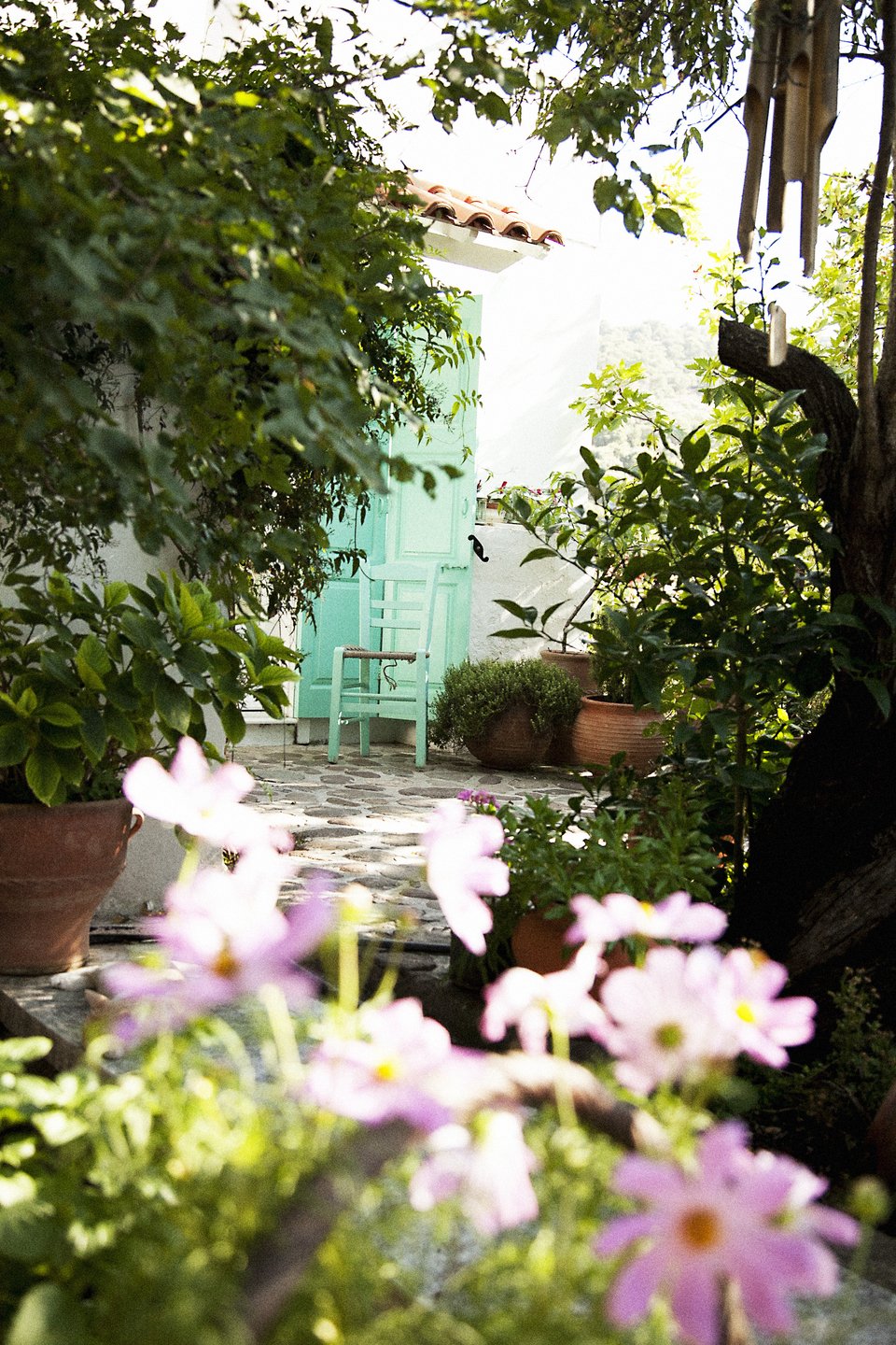Η αυλή στο παλιό σπίτι της Claire Lloyd στη Λέσβο είναι ένας μικρός απίγειος παράδεισος - Φωτογραφία: Courtesy of Claire Lloyd
