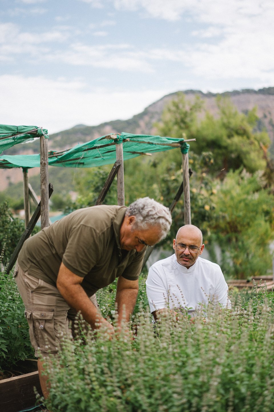 Ο Τάσος Μαντής (δεξιά) με τον πατέρα του Μπάμπη Μαντή που φροντίζει το κτήμα στο Αλεποχώρι  - Φωτογραφία: Yiamouris Studio