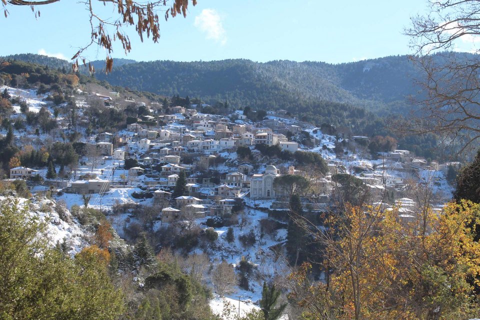 βαμβακου