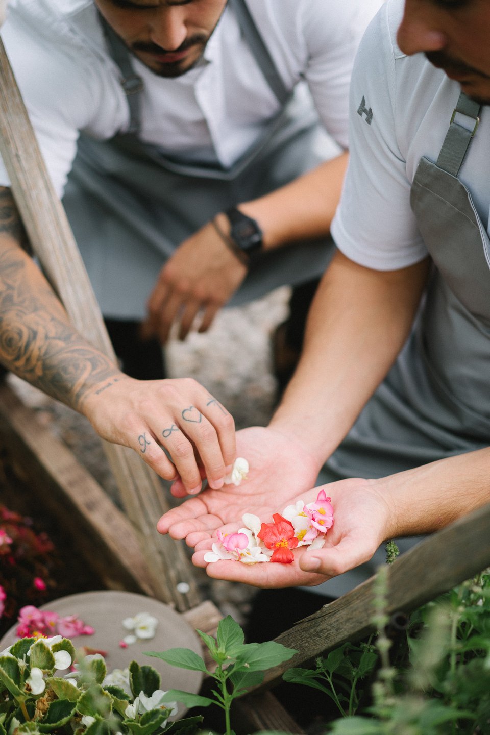 Η ώρα της συγκομιδής για τα βρώσιμα λουλούδια και βότανα που χρησιμοποιούνται στο Soil  - Φωτογραφία: Yiamouris Studio