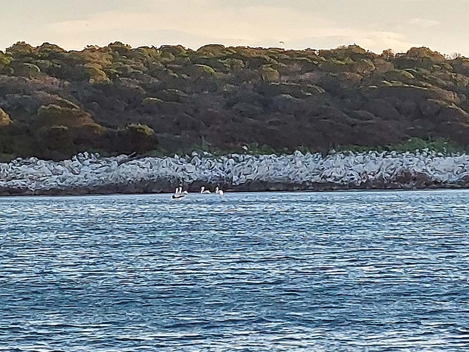 νησί Μάκρη