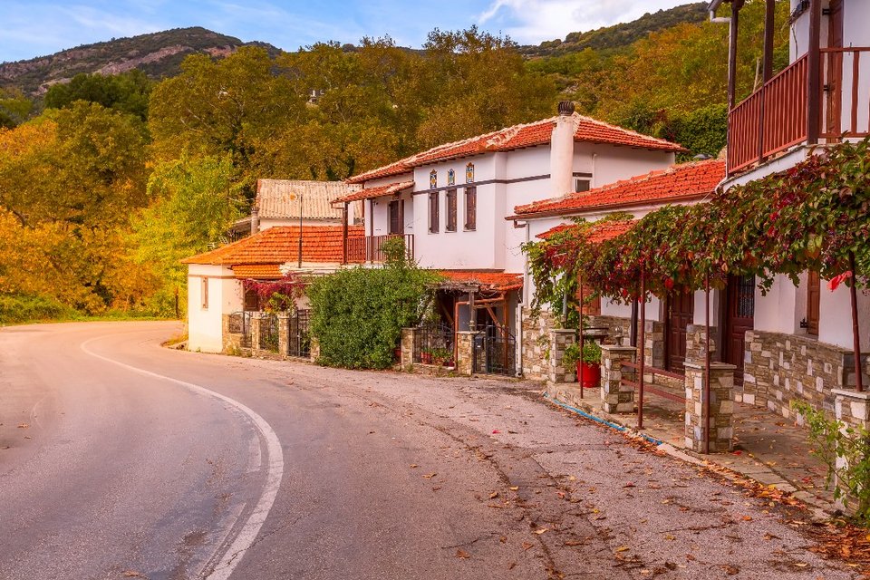 Πορταριά/ Φώτο:Shuttertock