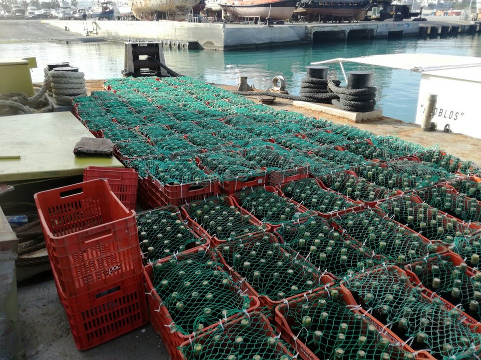  Φωτογραφία: ΑΠΕ -ΜΠΕ 