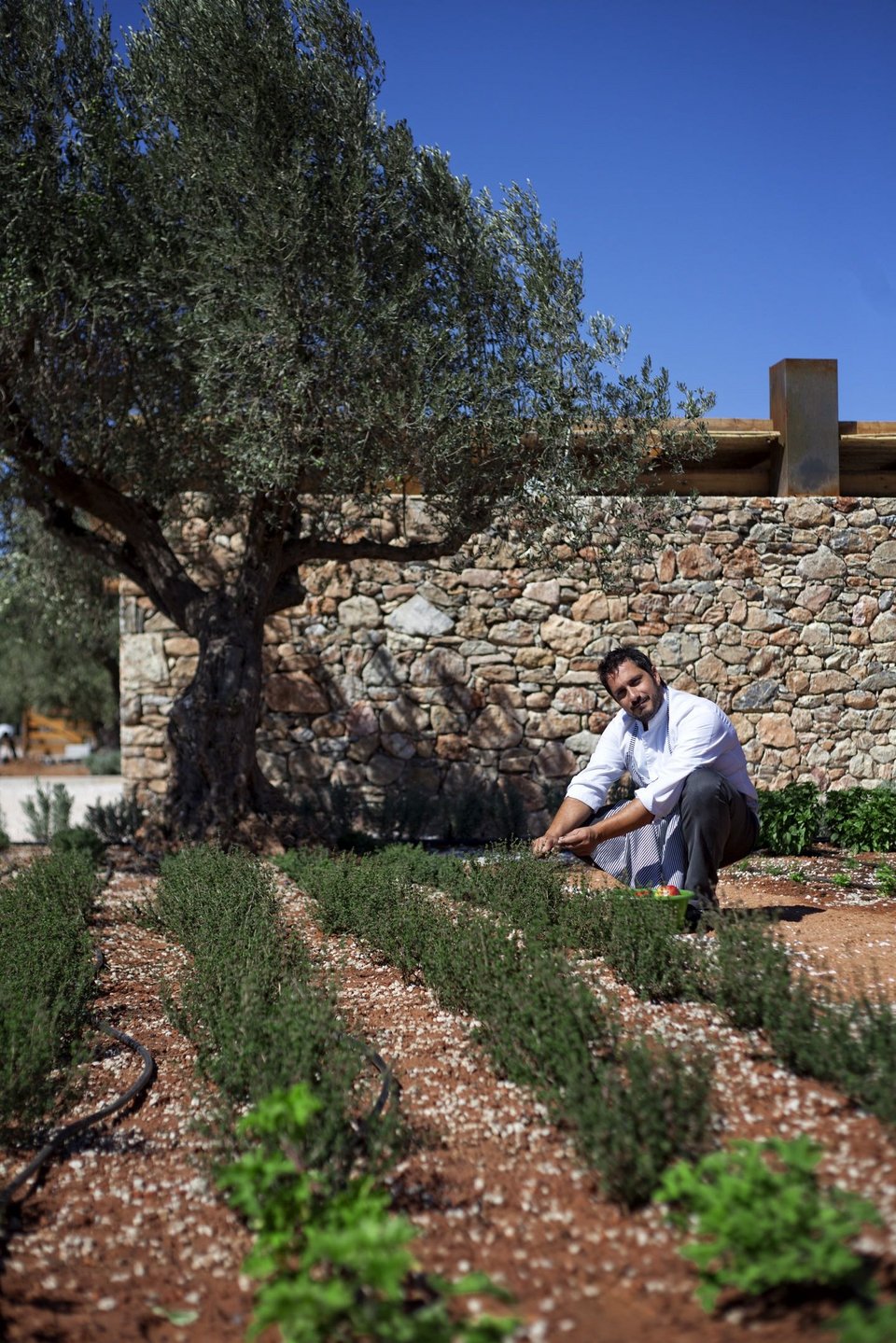 Ο σεφ Παναγιώτης Γιακαλής - Φωτογραφία: Courtesy of The Margi Farm