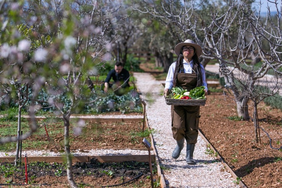 Η συλογή των λαχανικών γίνεται με μεγάλη φροντίδα - Φωτογραφία: Courtesy of The Margi Farm
