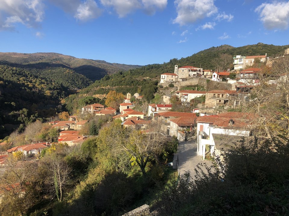 βαμβακου