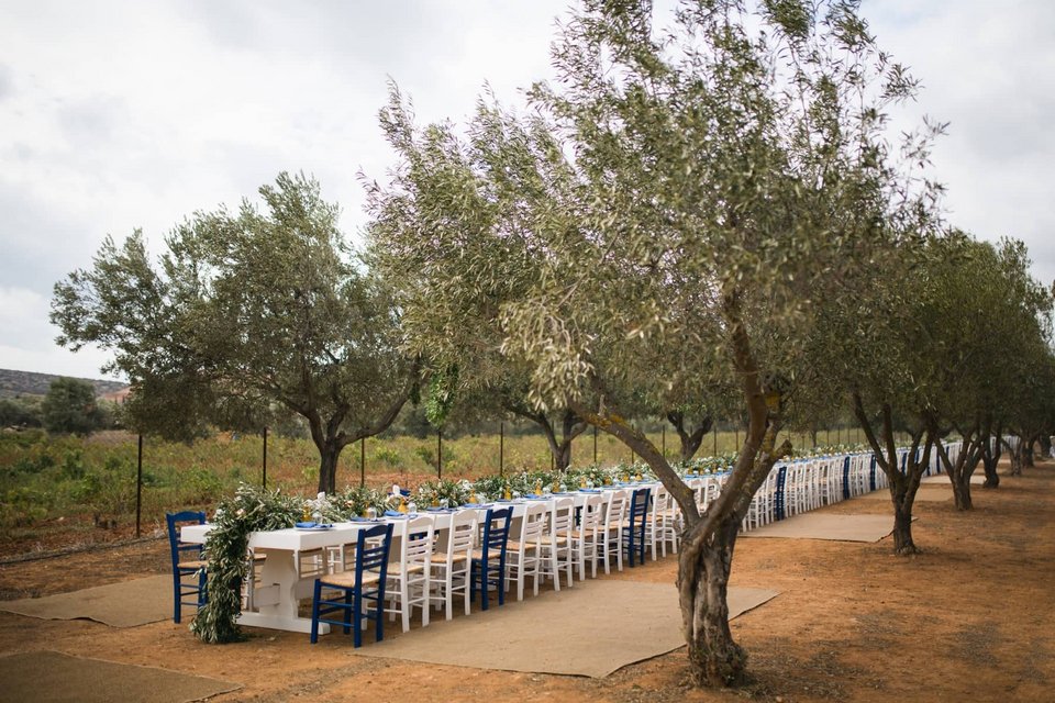 Όλη η Μεσόγειος σε ένα μεγάλο τραπέζι στρωμένο μέσα στον ελαιώνα της φάρμας  - Φωτογραφία: Courtesy of The Margi Farm