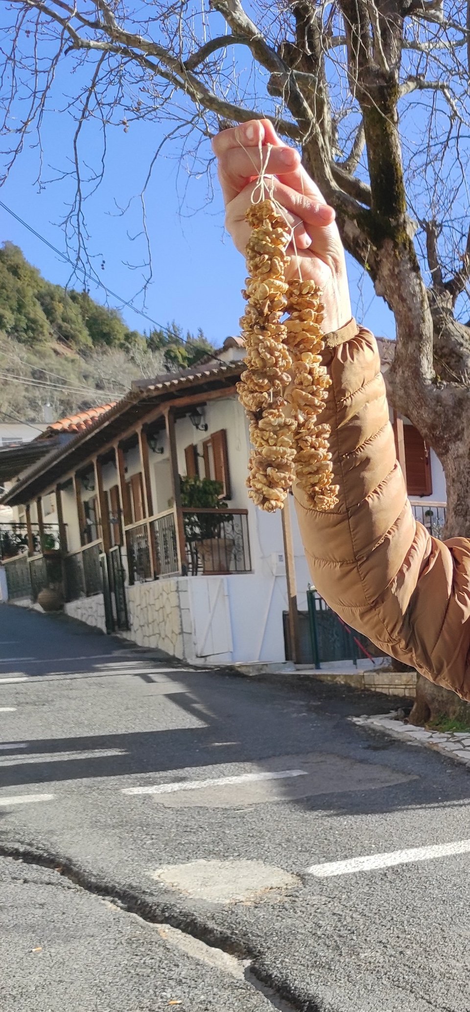 Σε ένα σχοινάκι μπαίνουν τα καρύδια και μετά στο μούστο για το περίφημο τζουτζούκι/ Φώτο: iefimerida.gr