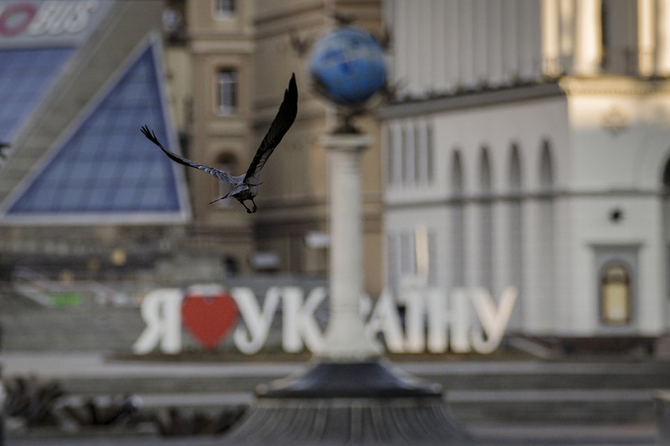 Ένα πουλί πετάει με φόντο μια πινακίδα "I love Ukraine" στο κέντρο του Κιέβου, Τετάρτη 16 Μαρτίου 2022, εν μέσω απαγόρευσης κυκλοφορίας