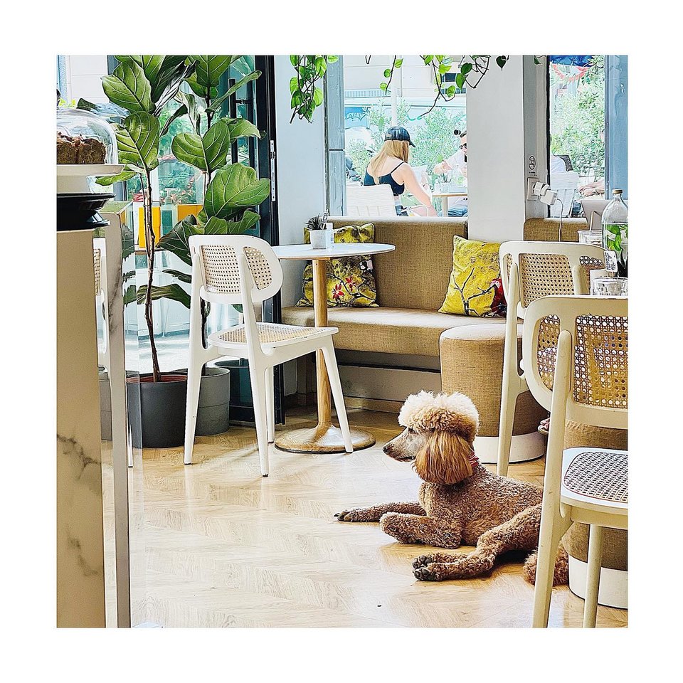 Για lunch break o Στέλιος Κουδουνάρης αγαπά το Me Athens - Φωτογραφία: Me Athens/Instagram