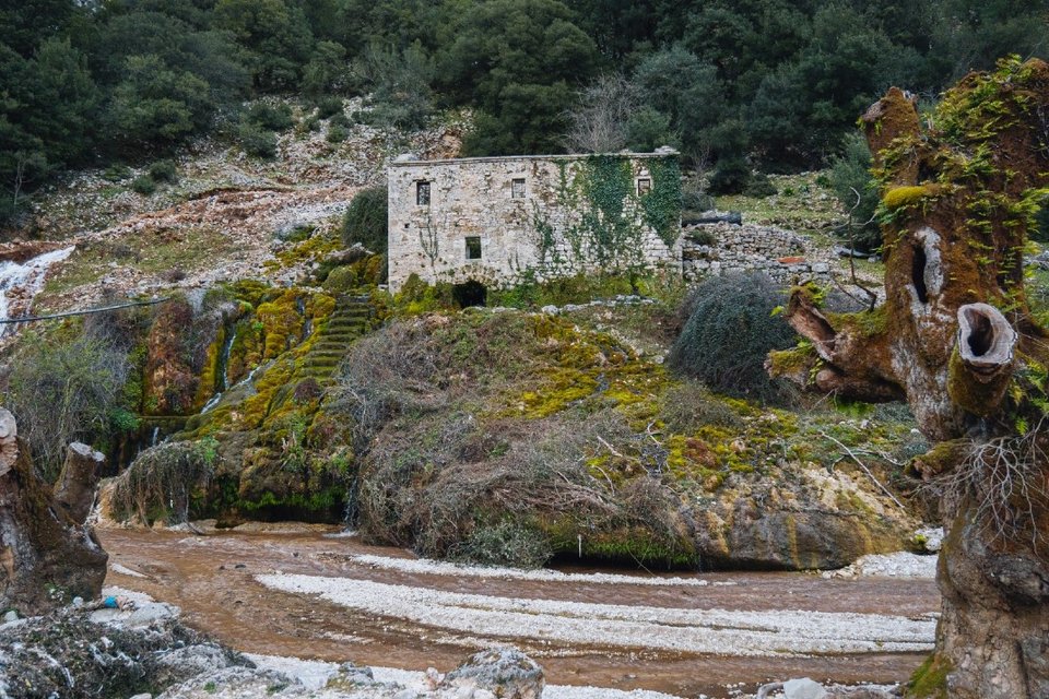 Φώτο:Νίκος Μπρέστας