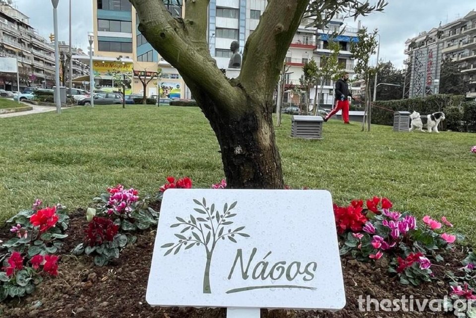 ελια