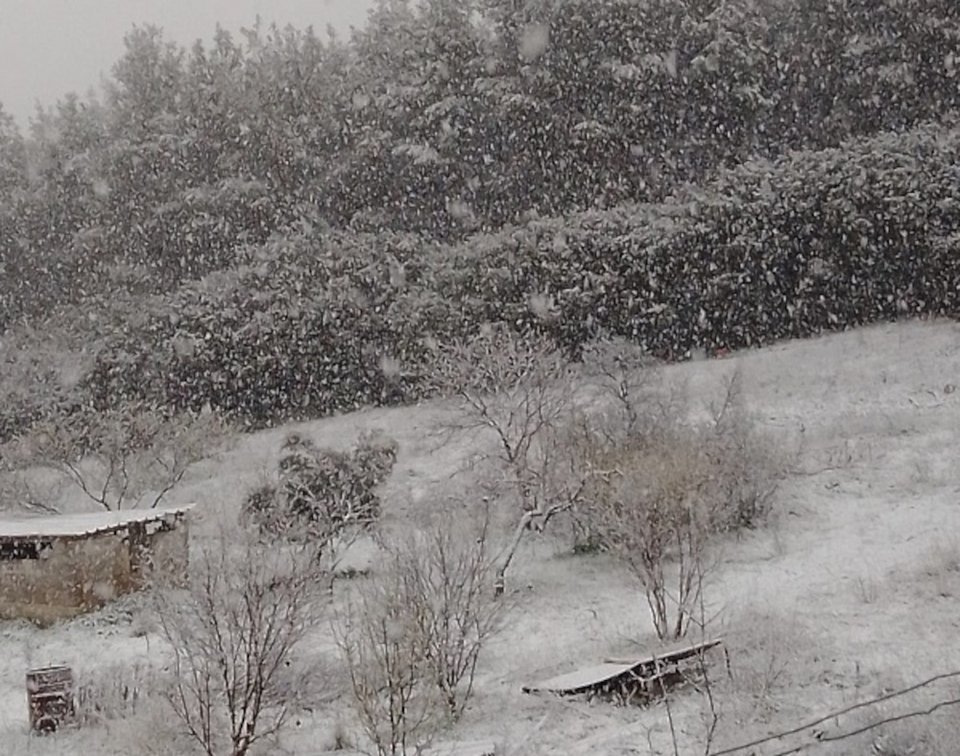Χιόνι στο νομό Θεσσαλονίκης / voria.gr