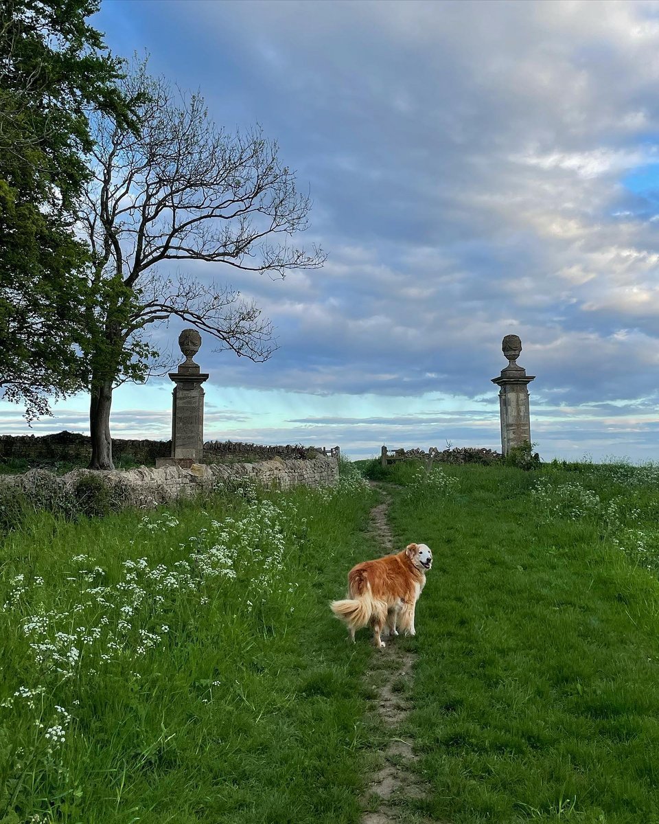 Φεύγοντας από τη Νέα Υόρκη ήθελε μια ήσυχη ζωή με άπλετο ελεύθερο χρόνο για βόλτες με το σκυλί της στην εξοχή / Φωτογραφία: amandacbrooks/Instagram 