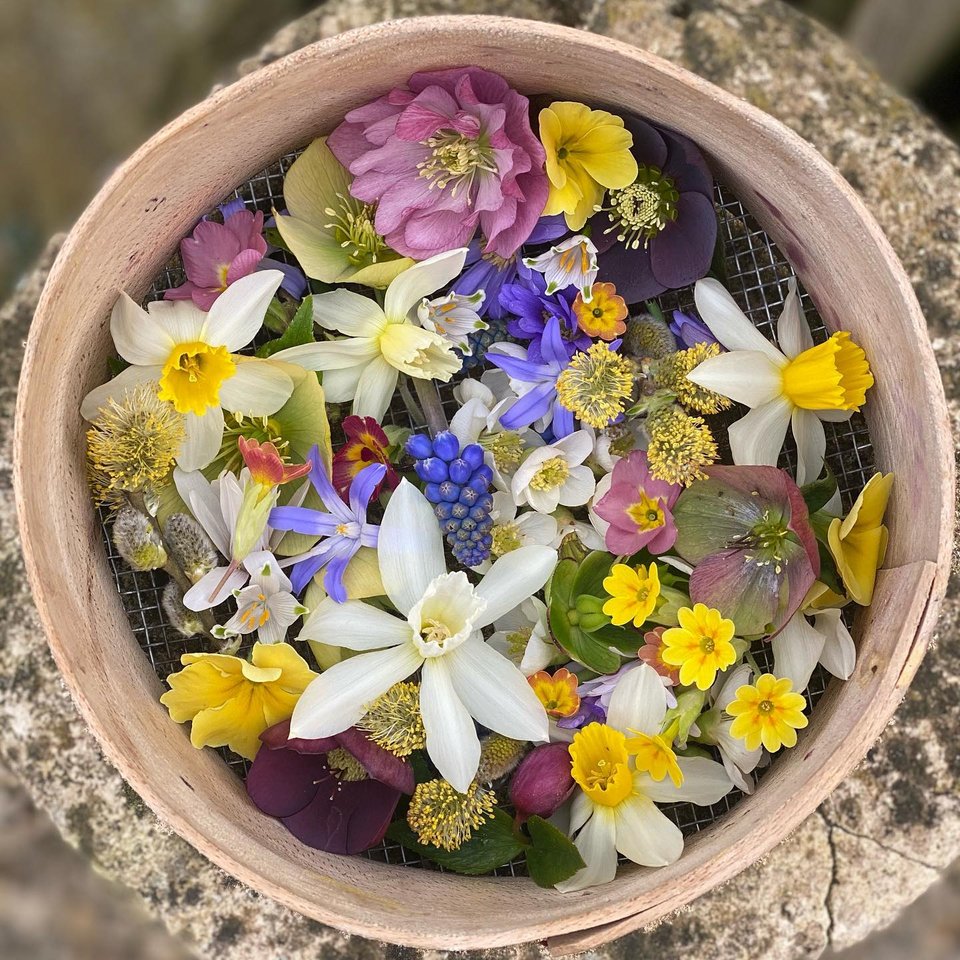 Σύνθεση από λουλούδια που αποξηραίνει η Amanda / Φωτογραφία: amandacbrooks/Instagram 