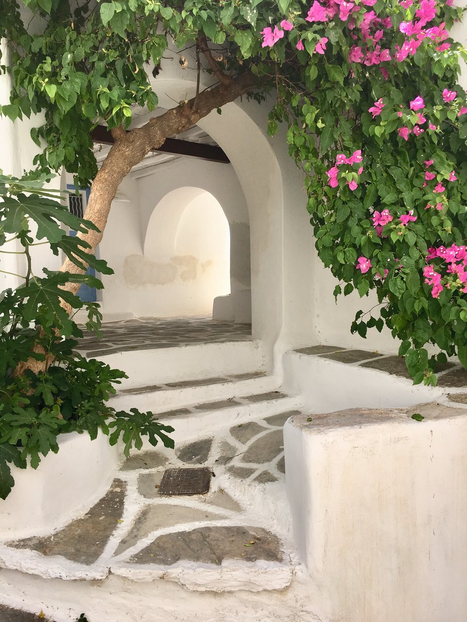 Τα λευκά σοκάκια της Νάουσας πάντα κρύβουν εκπλήξεις - Φωτογραφία: Νίκη Μηταρέα